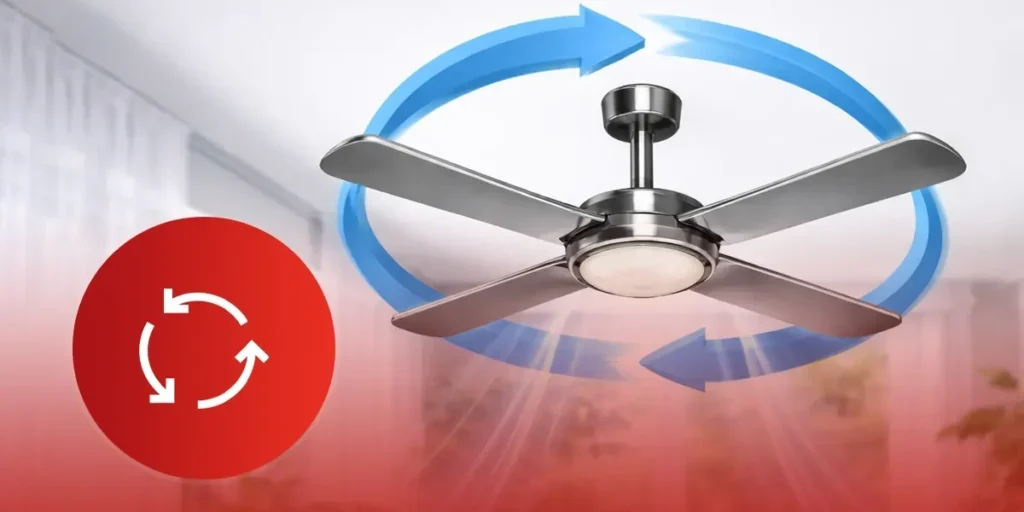 Fan Direction in Summer